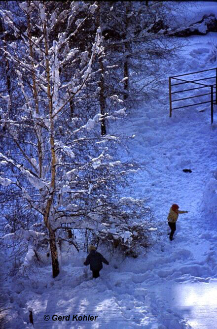 Schneereiche Weihnachten Innsbruck 1967