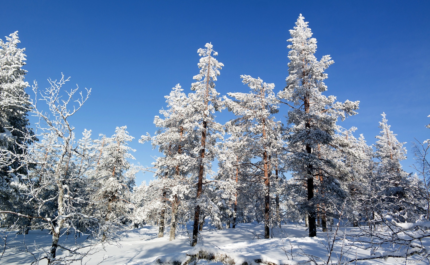 Schneeschuhwanderung-1