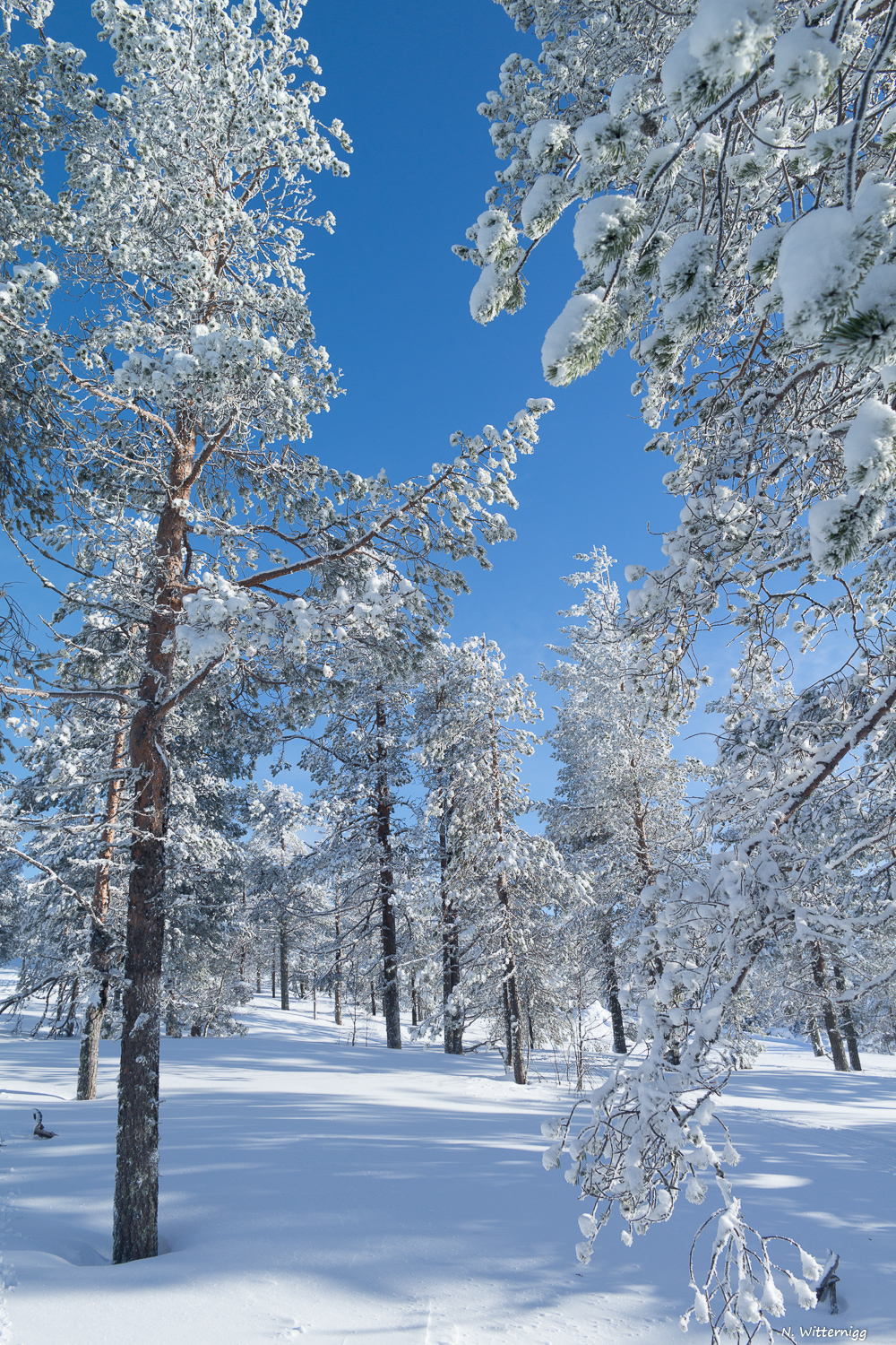 Schneeschuhwanderung-2