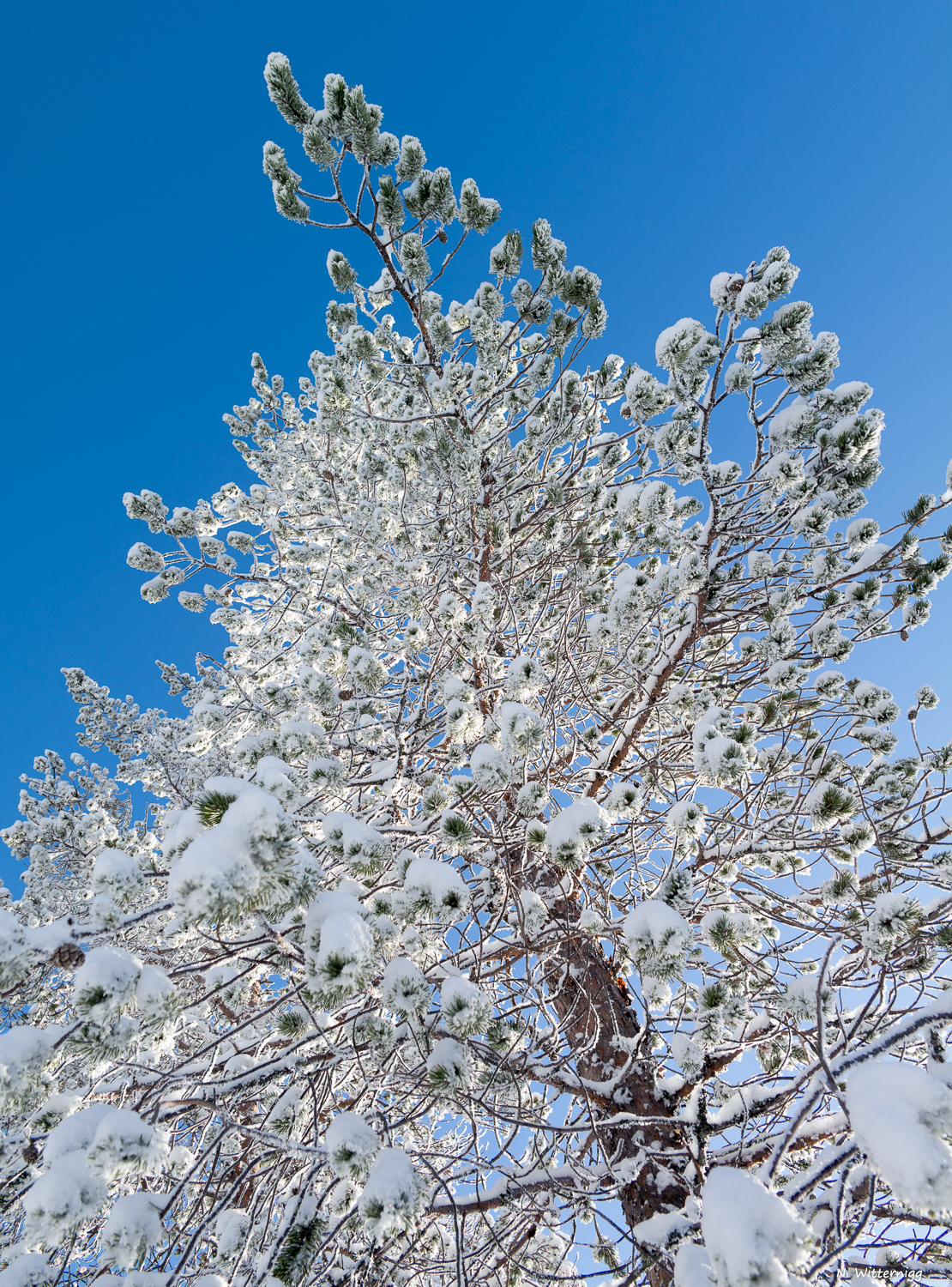 Schneeschuhwanderung-4