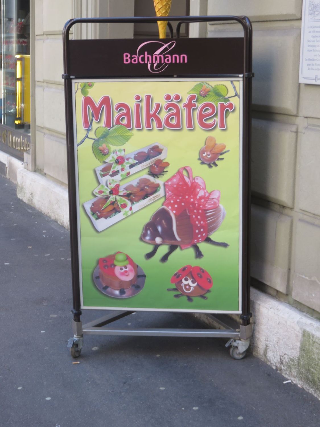 Schokoladenmaikäfer