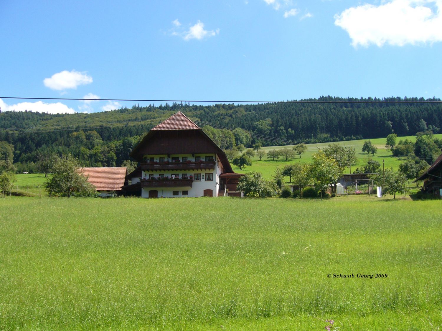 Schwabenhof in Welschensteinach