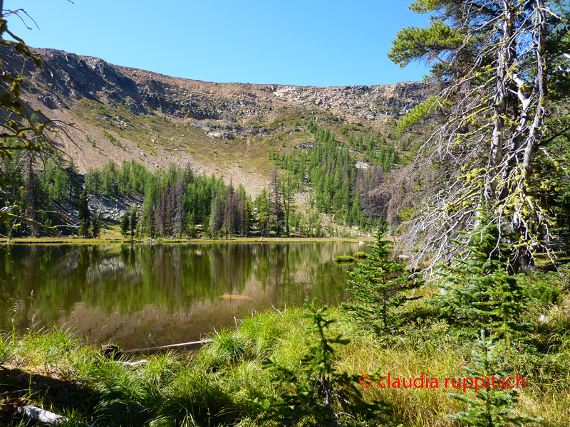 Scout Lake im Cathedral Provincial Park, BC, Kanada