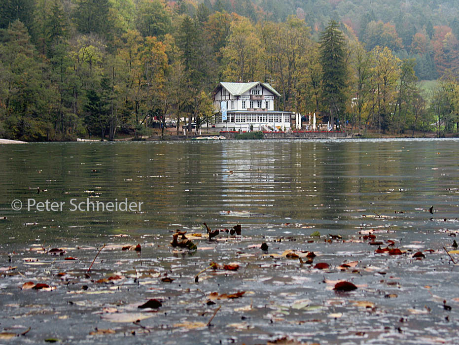 Seewirt am Thumsee