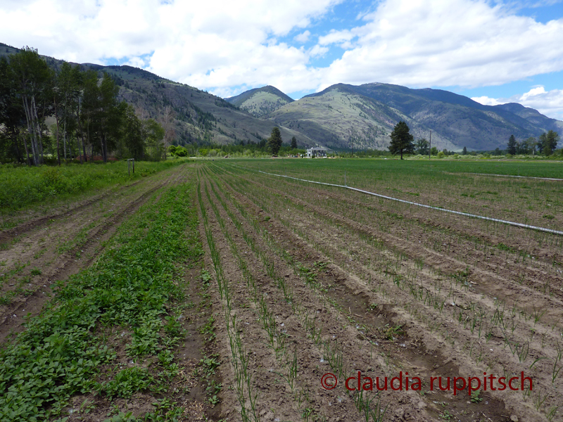 Similkameen Valley (BC, Canada)