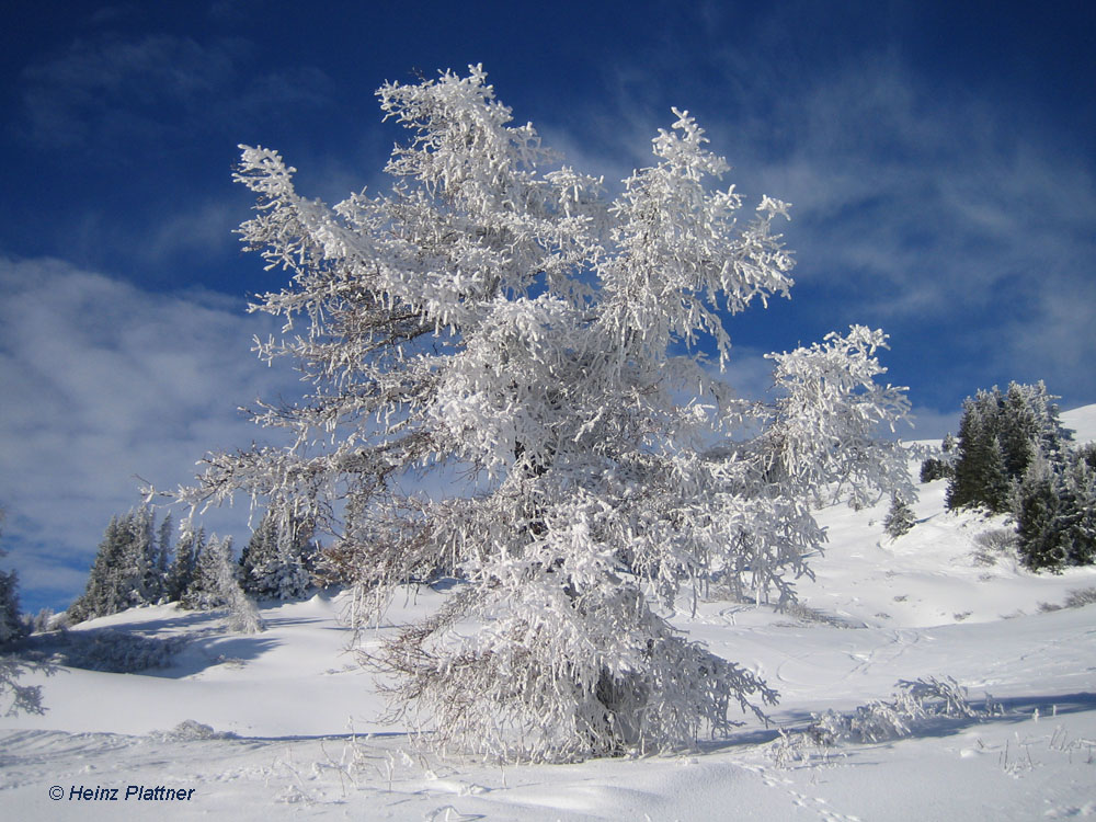 Skitour Nösslachjoch