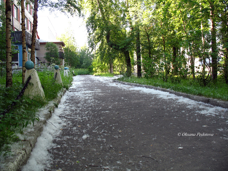 sommerschnee