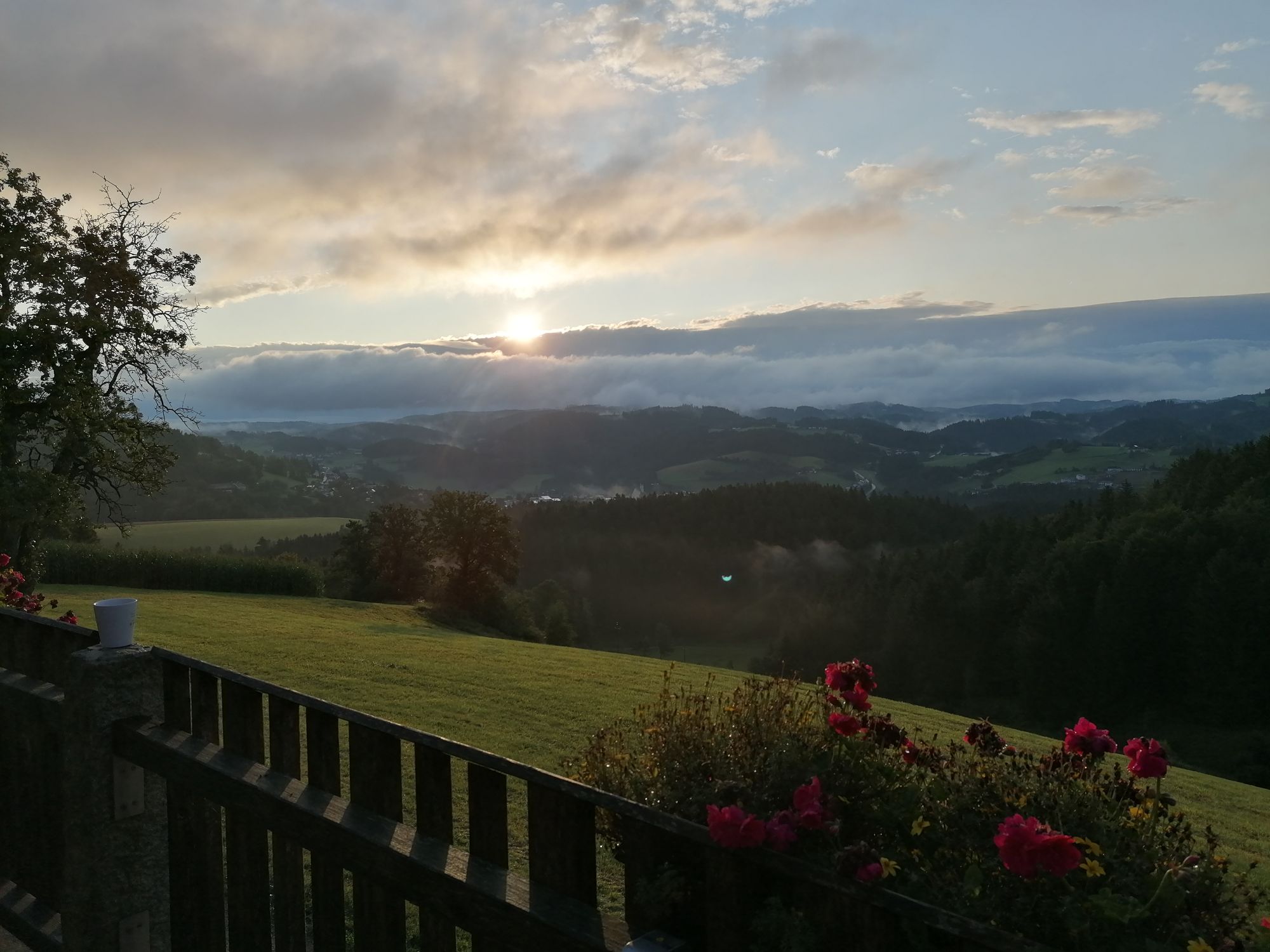 Sonnenaufgang in Königswiesen