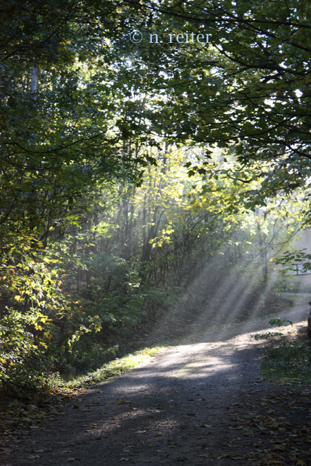 sonnenstrahlen