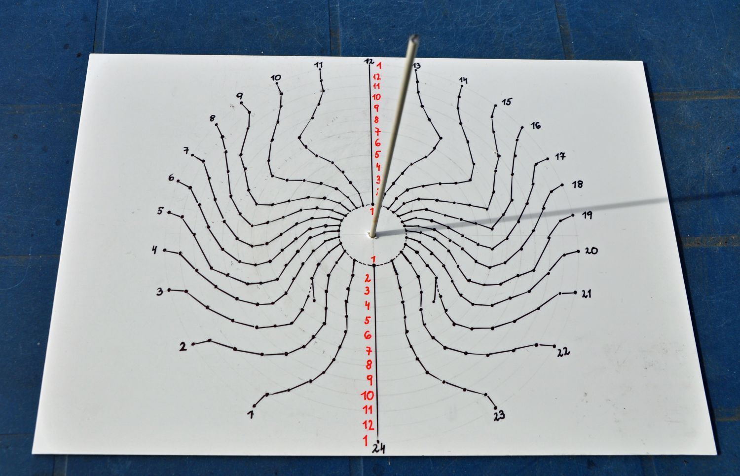 Sonnenuhrenspinne