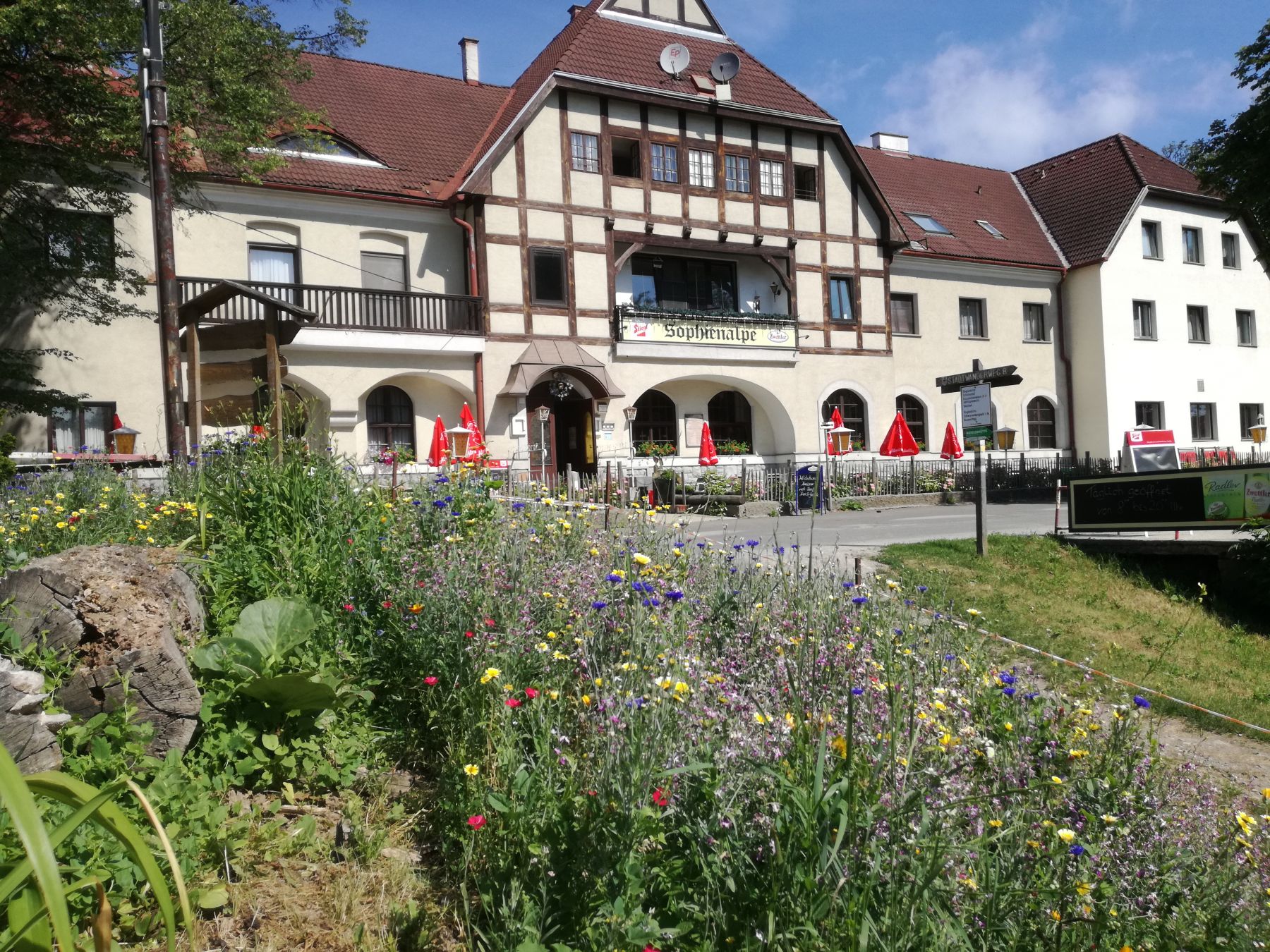 Sophienalpe im Wiener Wald.