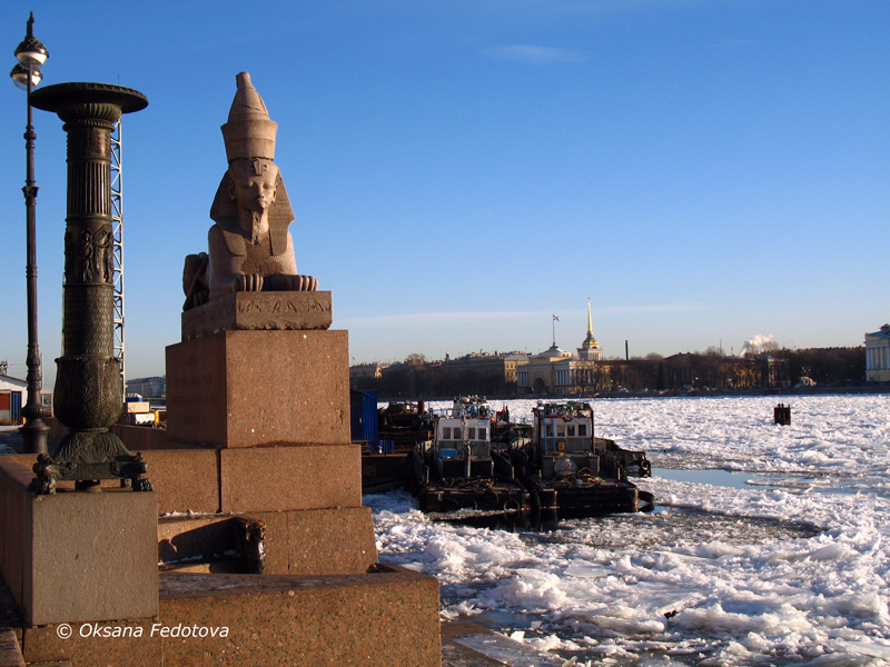 Sphinx in Sankt-Petersburg