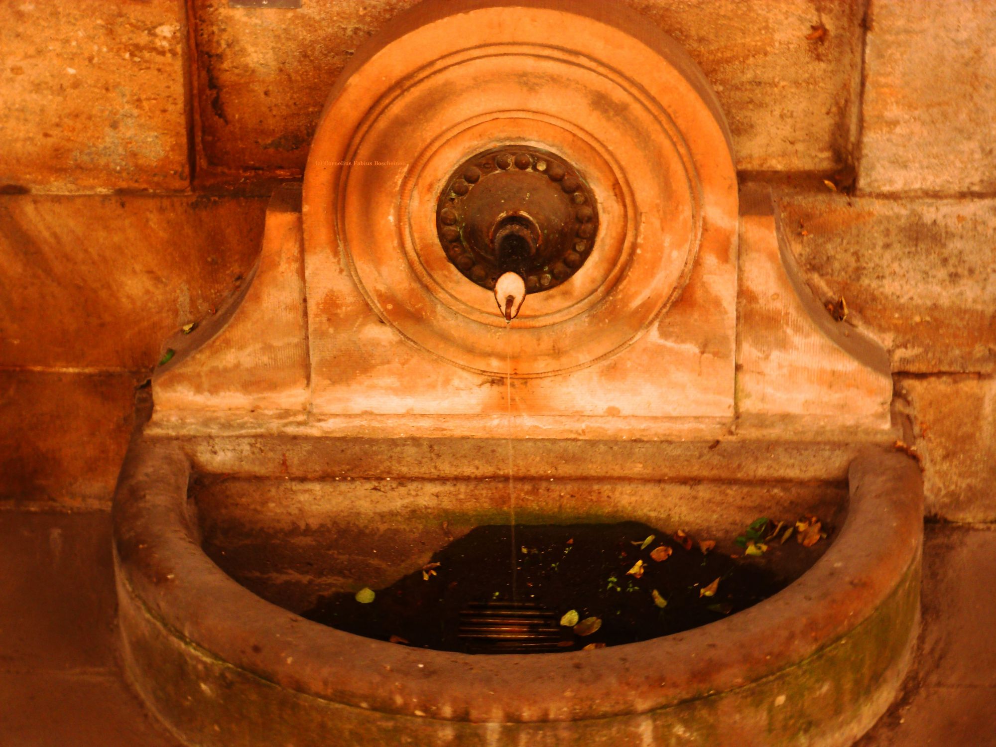 Stadtbegehung in Marburg, Ankunft am St. Elisabethbrunnen.