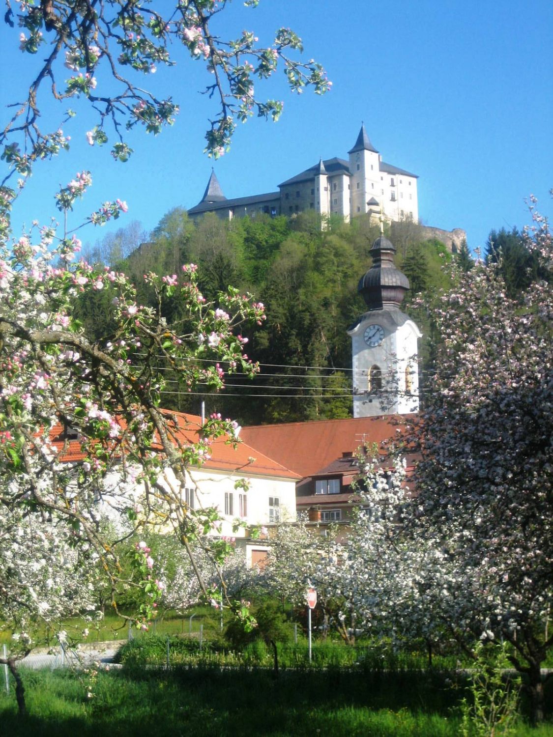 Stadtpfarrkirche St. Nikolaus und Schloss Strassburg