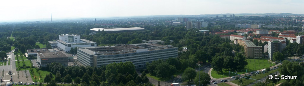 Stadtsilhouette Dresden I