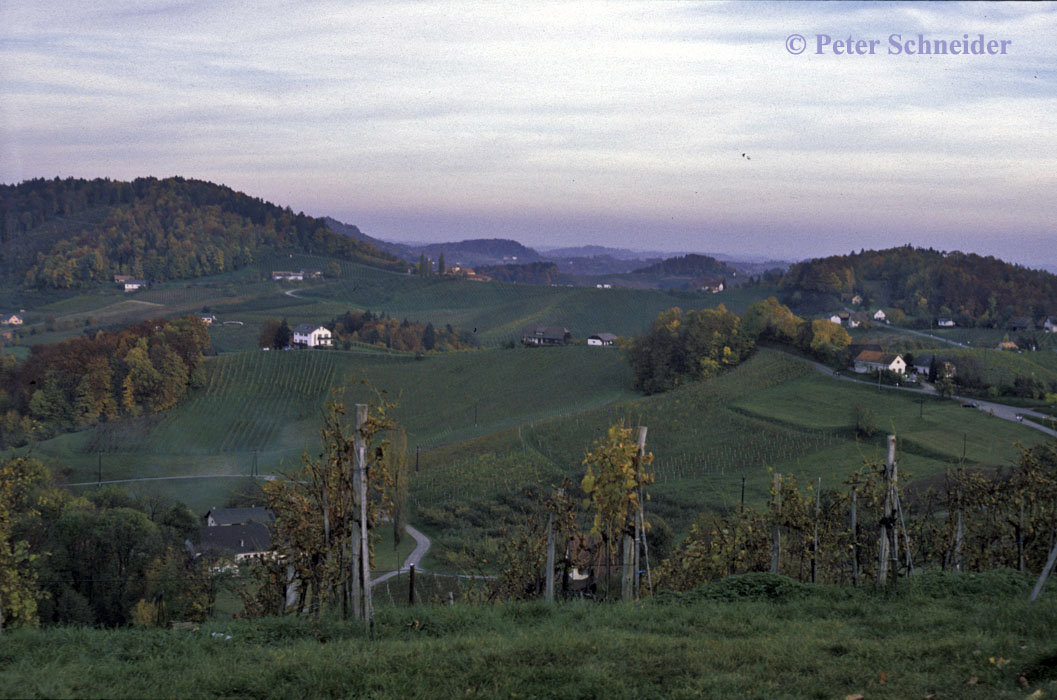 Steirische Weinstrasse, Südsteiermark