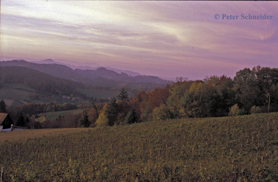 Steirische Weinstrasse