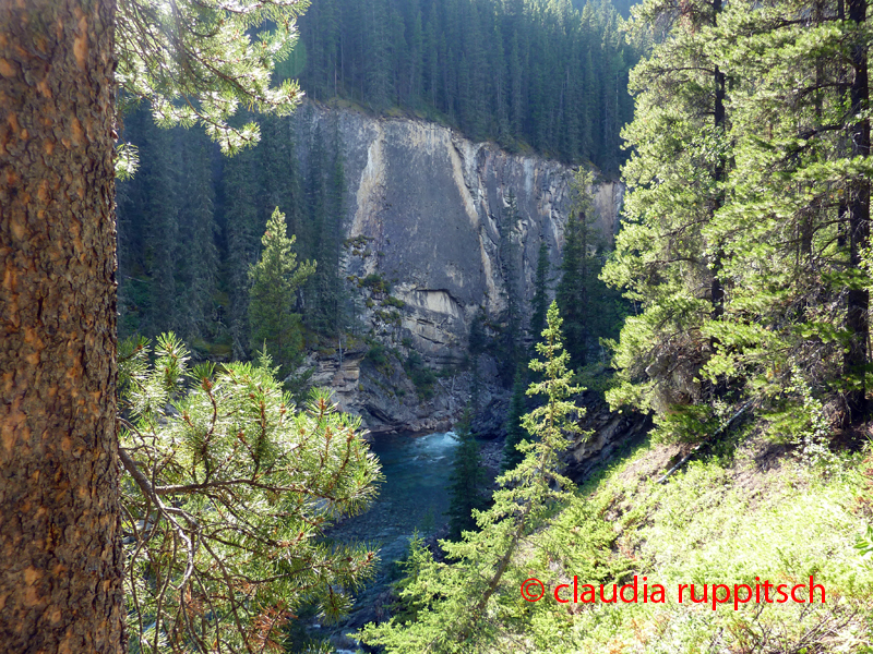 Stewart Canyon, Banff Nationalpark, Alberta, Canada