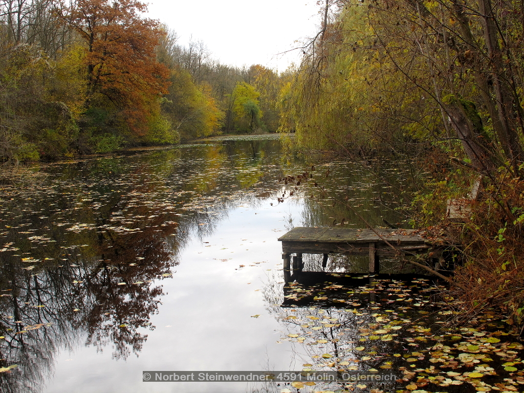 Stille ... Allerheiligen