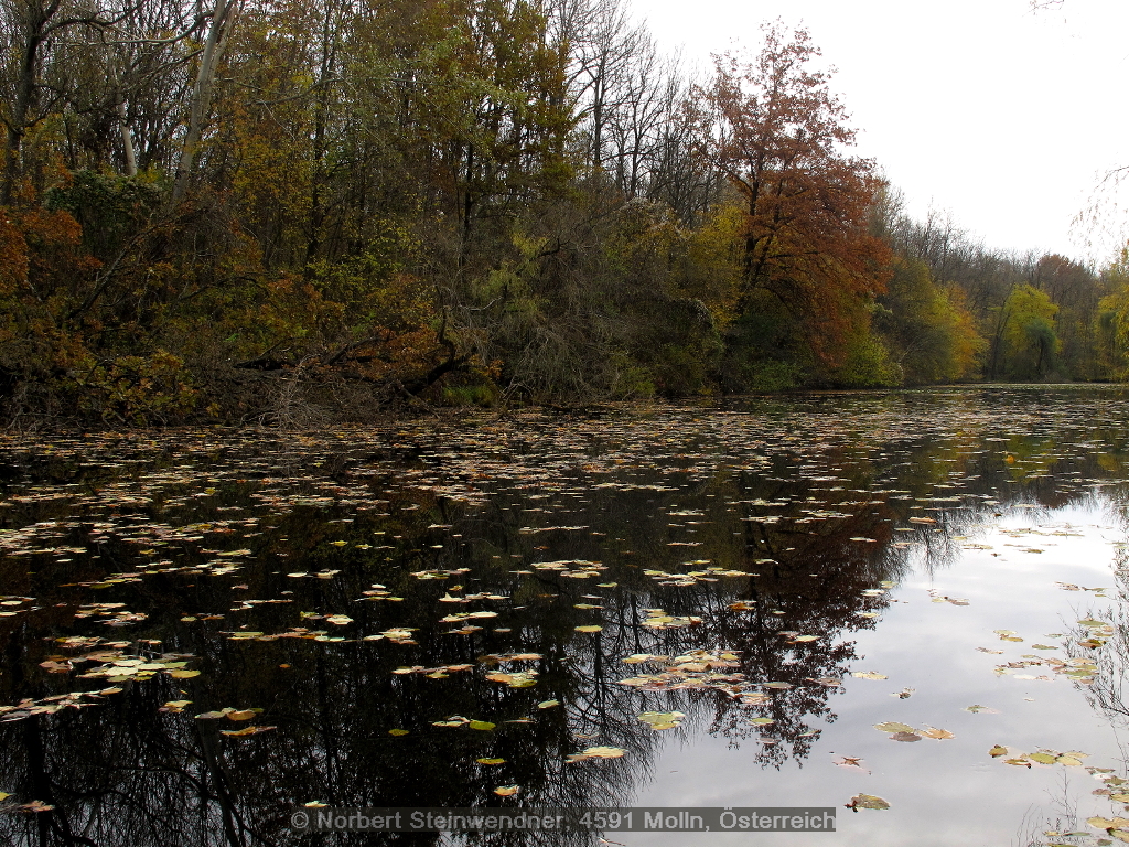 Stille ... Allerheiligen