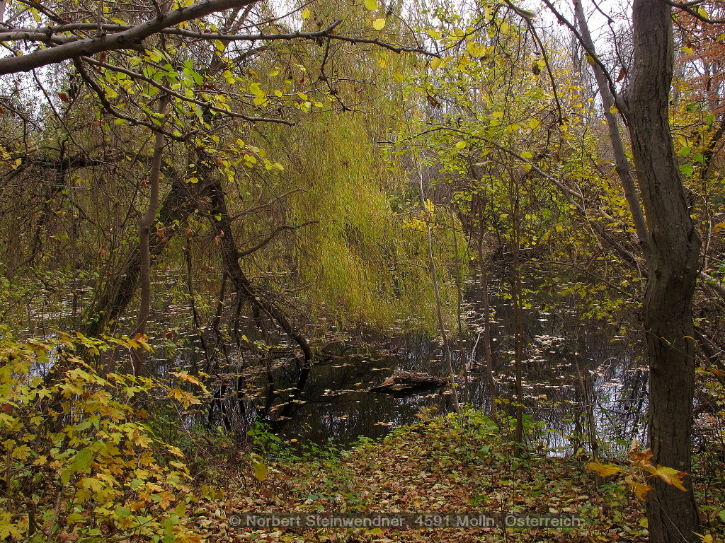 Stille ... Allerheiligen