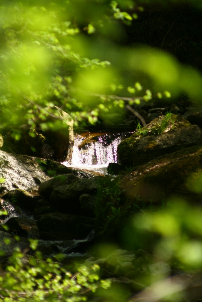 Stillensteinklamm in Grein