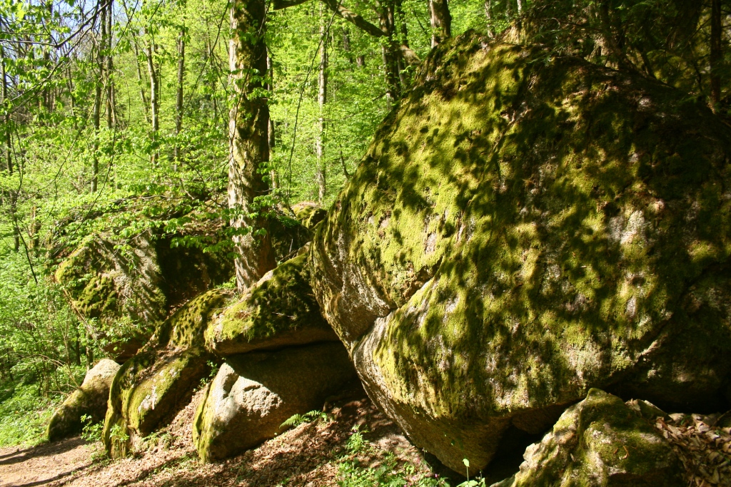 Stillensteinklamm in Grein