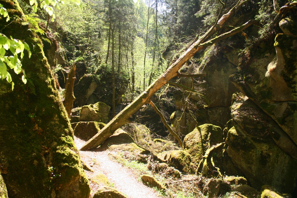 Stillensteinklamm in Grein