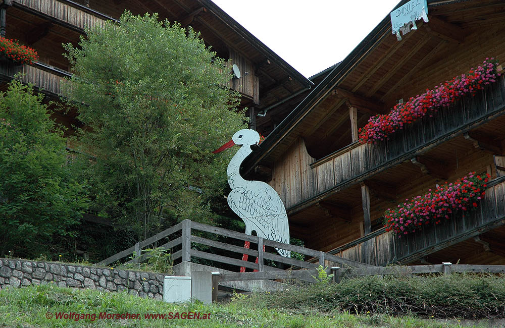 Storch bringt Daniel nach Alpbach