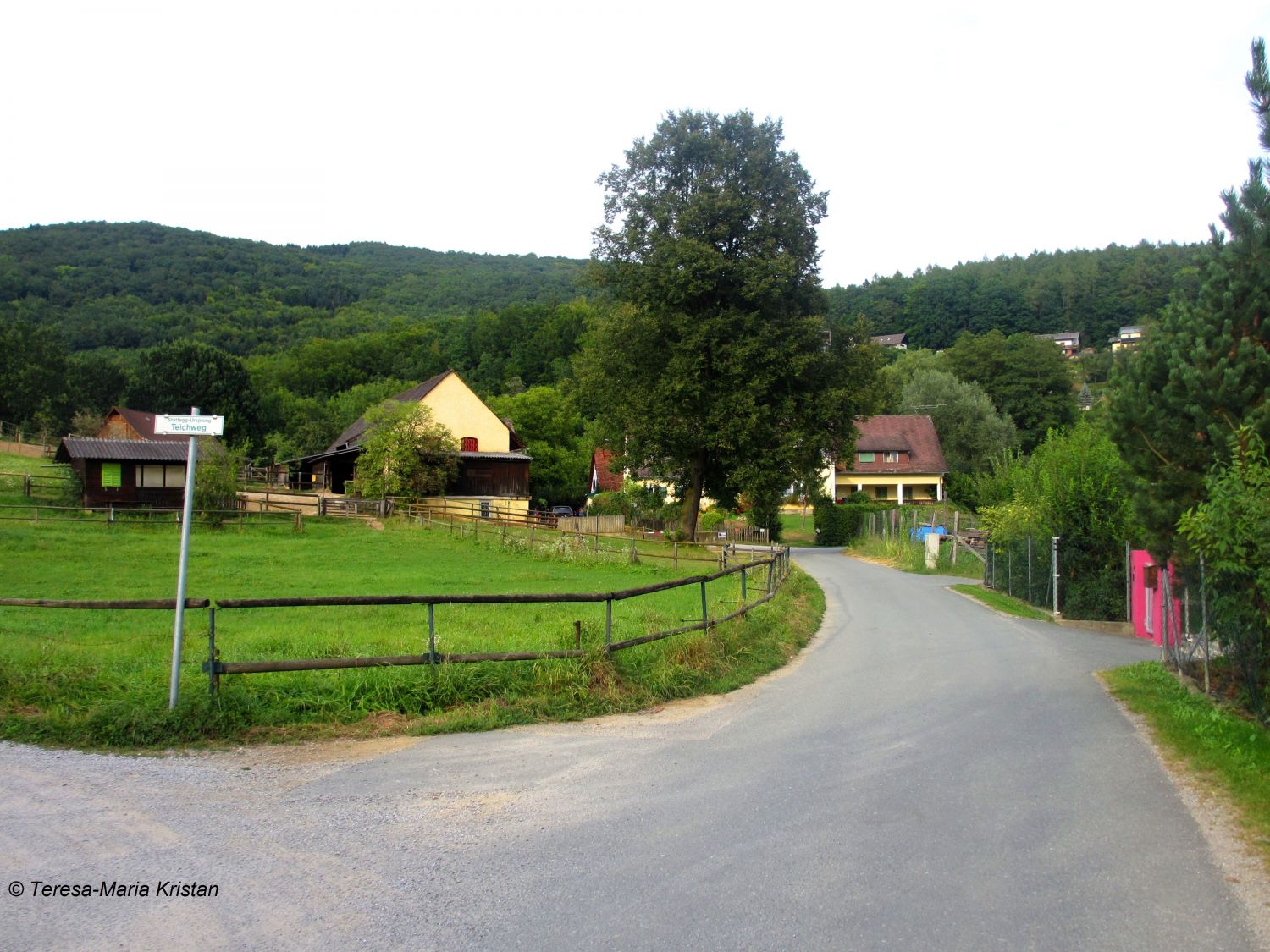 Straße Ursprungblick in Richtung Ursprung-Quelle- Graz Stattegg