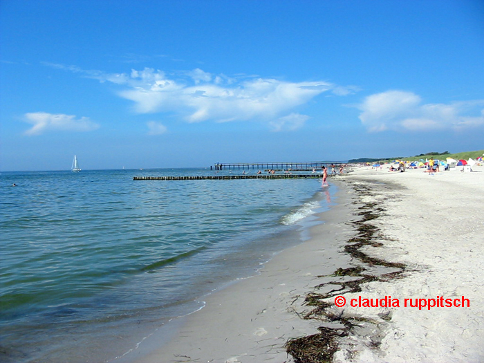 strand hiddensee 2/2