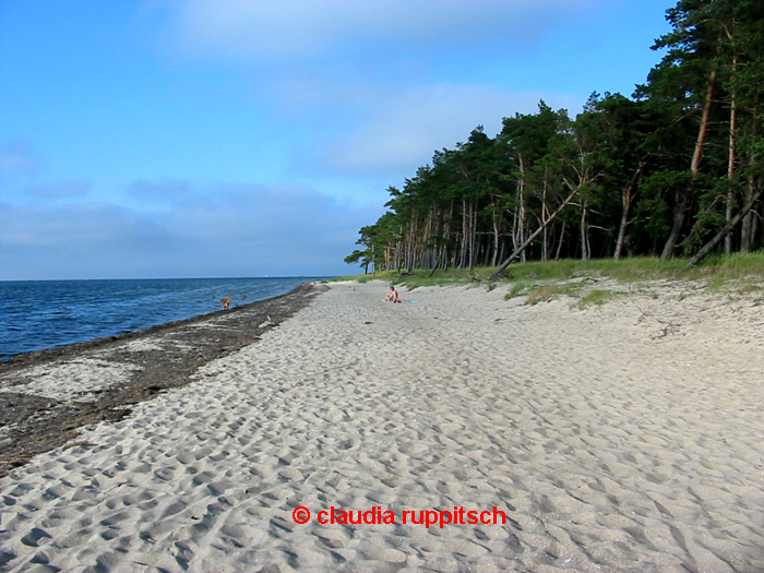 strand ludwigsburg