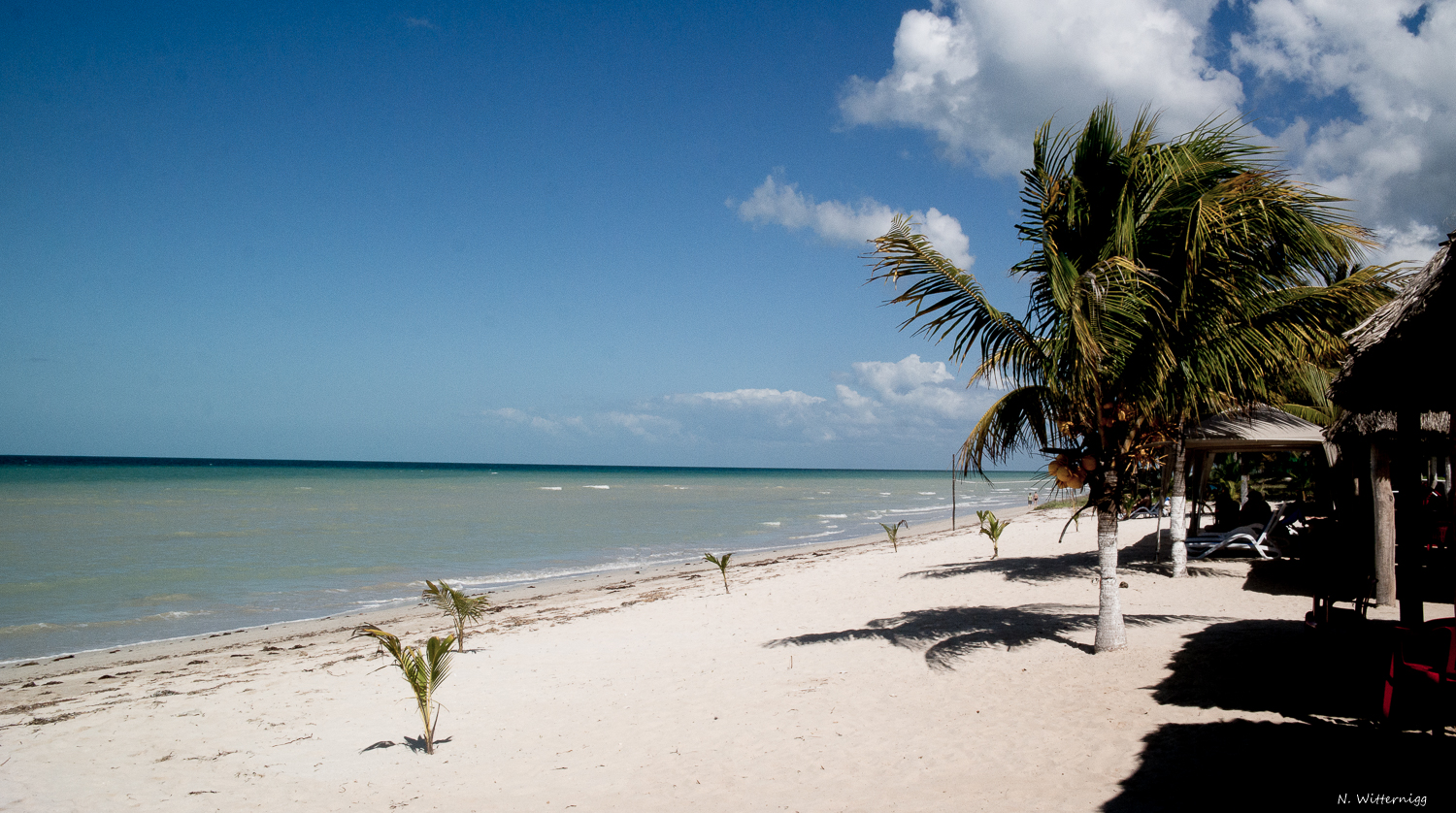 Strand nahe Campeche - 1