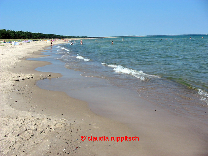 strand rügen