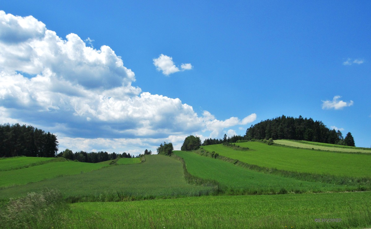 Streifenweise Waldviertel