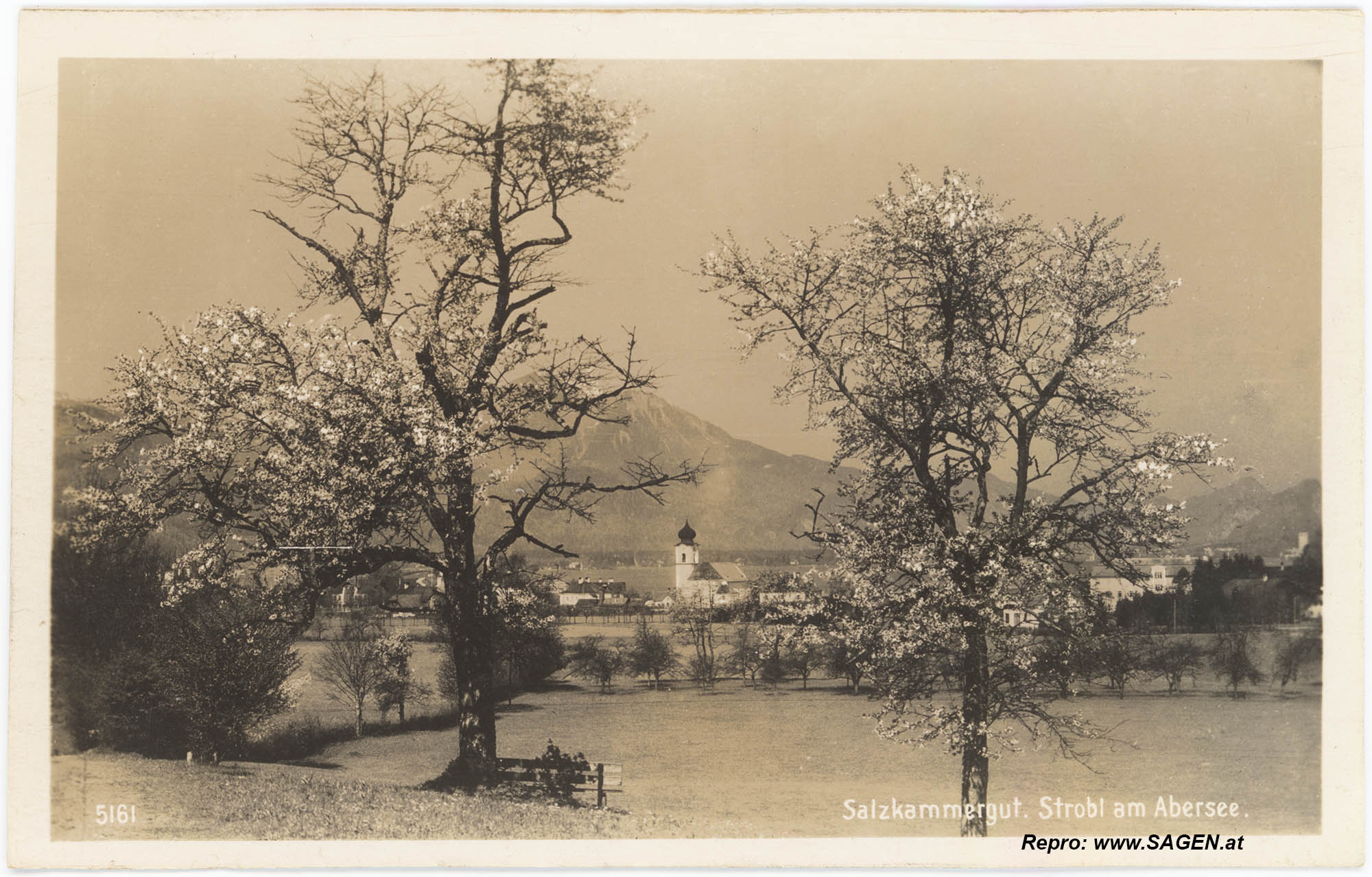 Strobl am Wolfgangsee