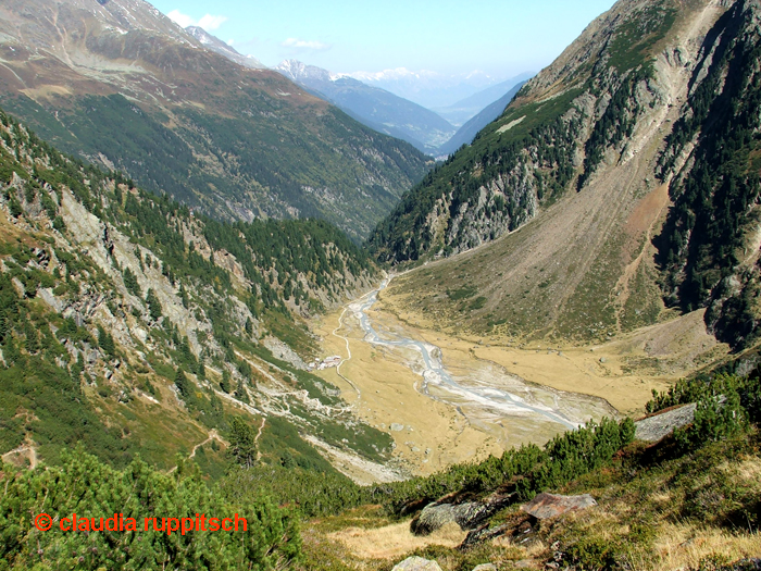 sulzenaualm stubaital