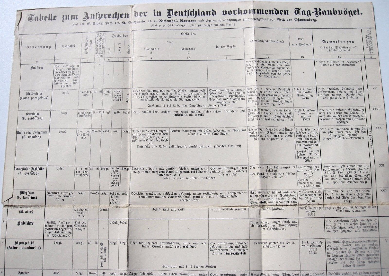 Tabelle Vogelbeobachtung