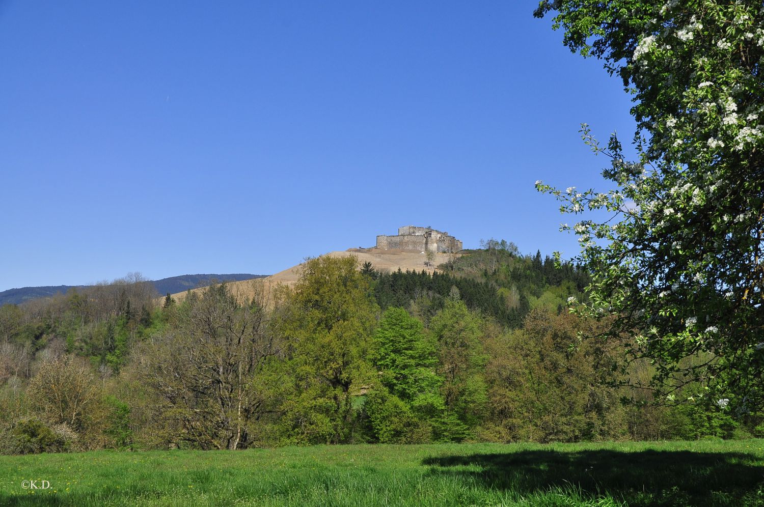 Taggenbrunn bei St.Veit an der Glan (Kärnten)