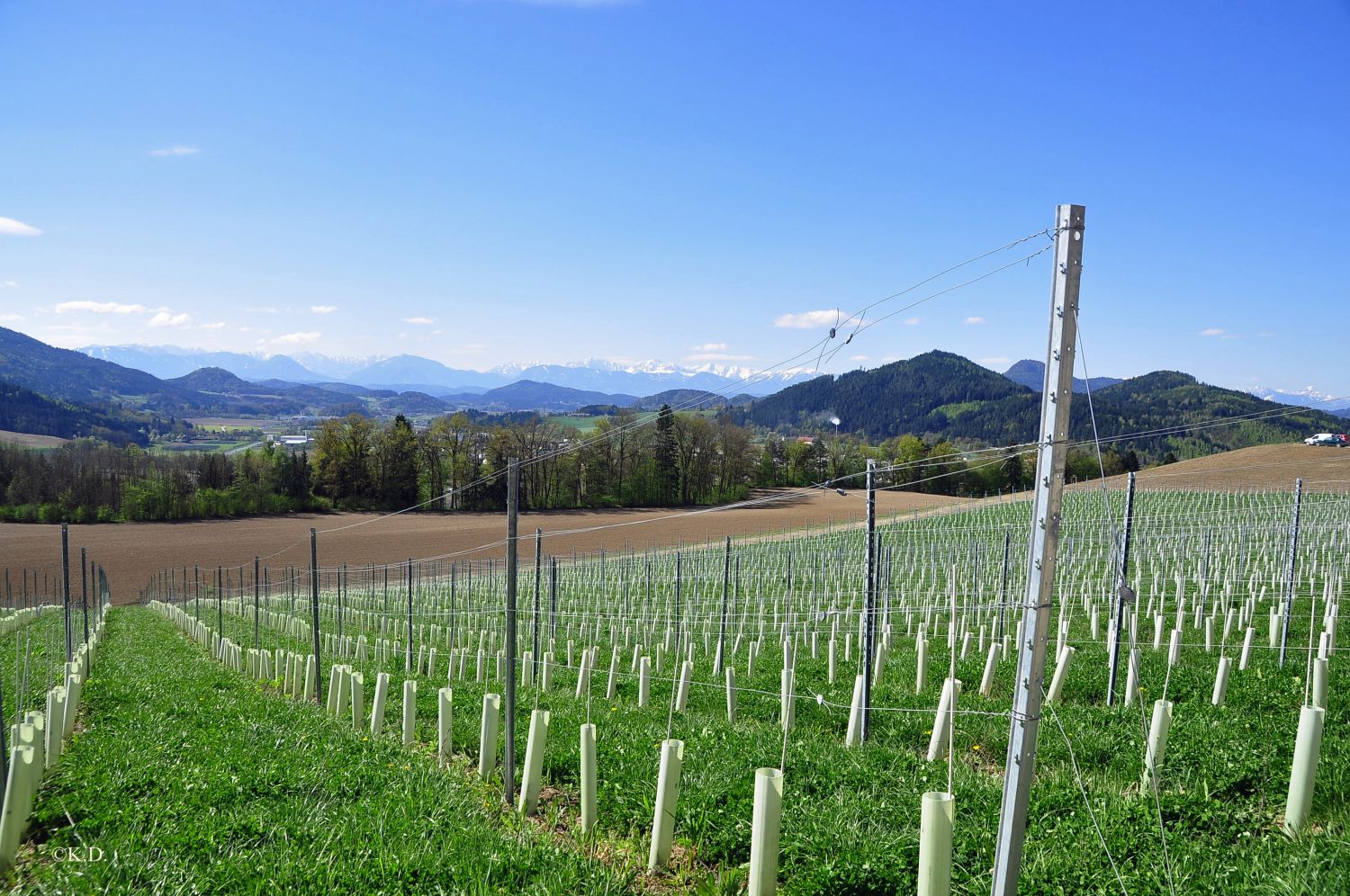 Taggenbrunn bei St.Veit an der Glan (Kärnten)