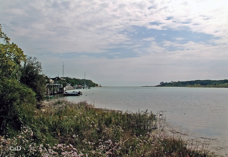 Tagliamento