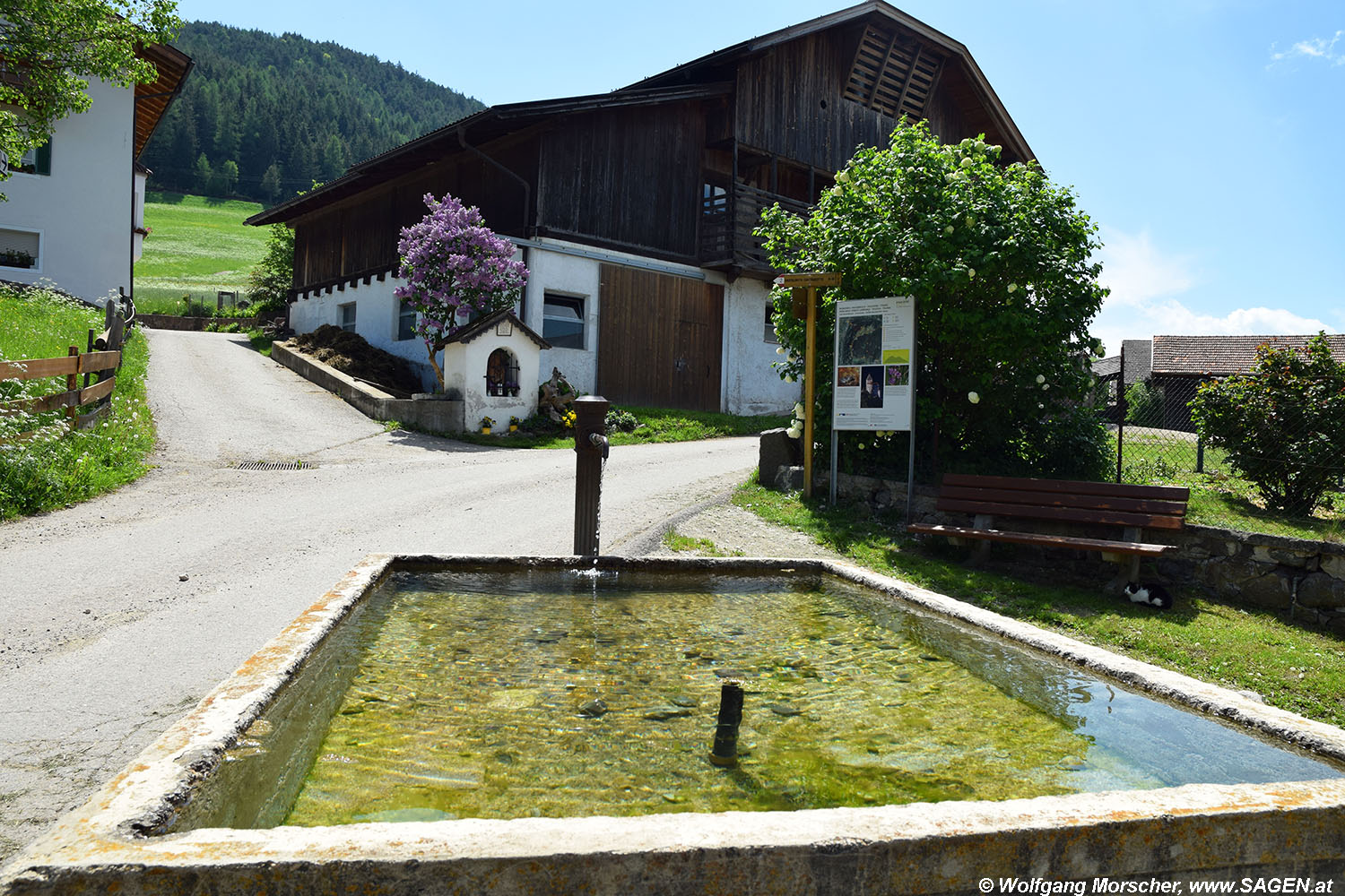 Tagusens Dorfbrunnen