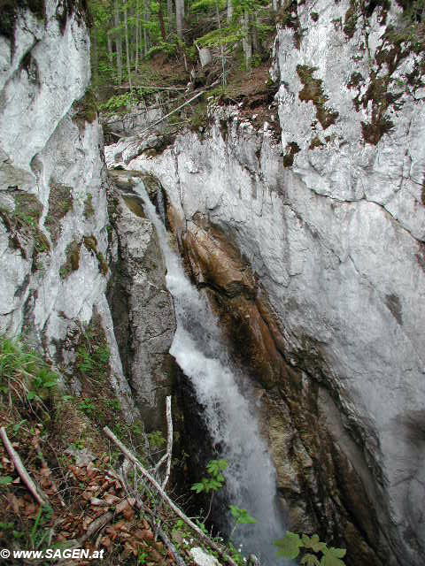 Tatzelwurm-Wasserfall