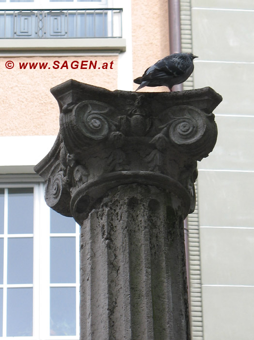 Taube auf dem Säulenbrunnen, Lausanne (Schweiz)