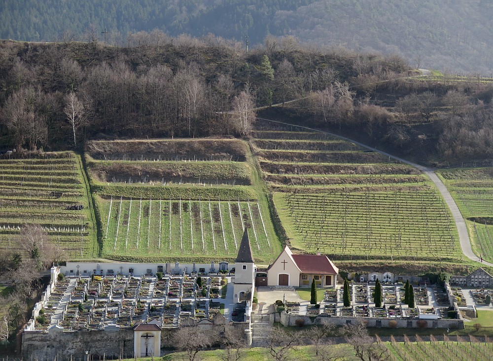 Tausendeimerberg in Spitz