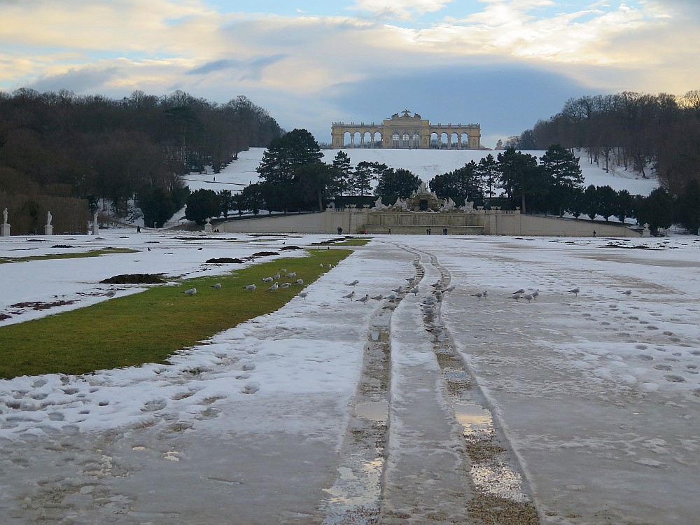 Tauwetter in Schönbrunn