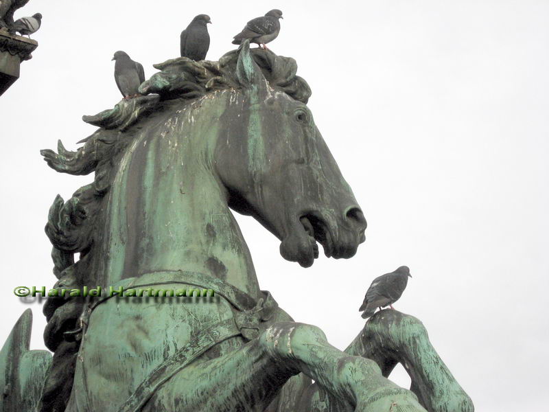 Tegethoffdenkmal Detail