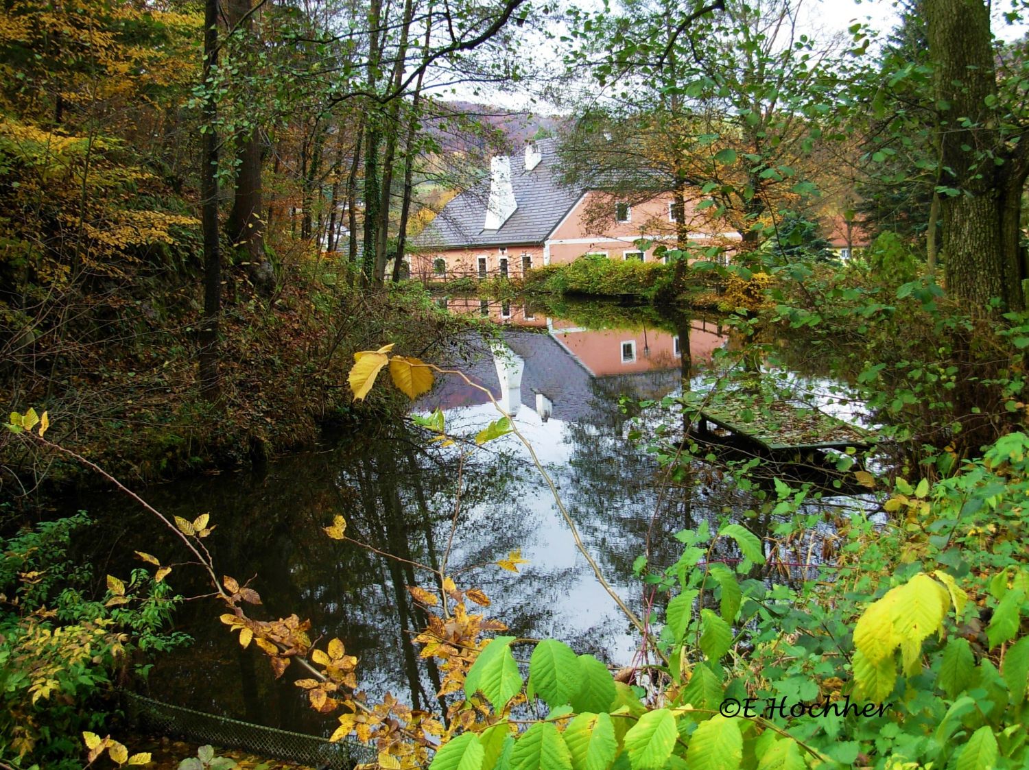 Teich der Hammerschmiede in Aggsbach