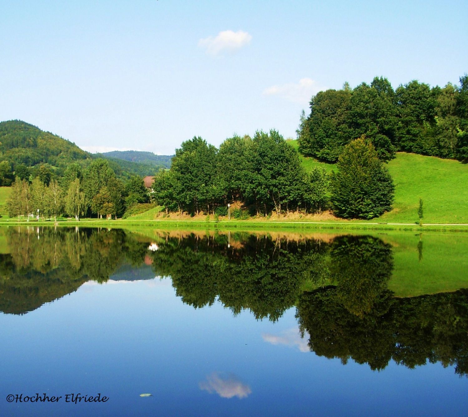 Teich in Waldhausen