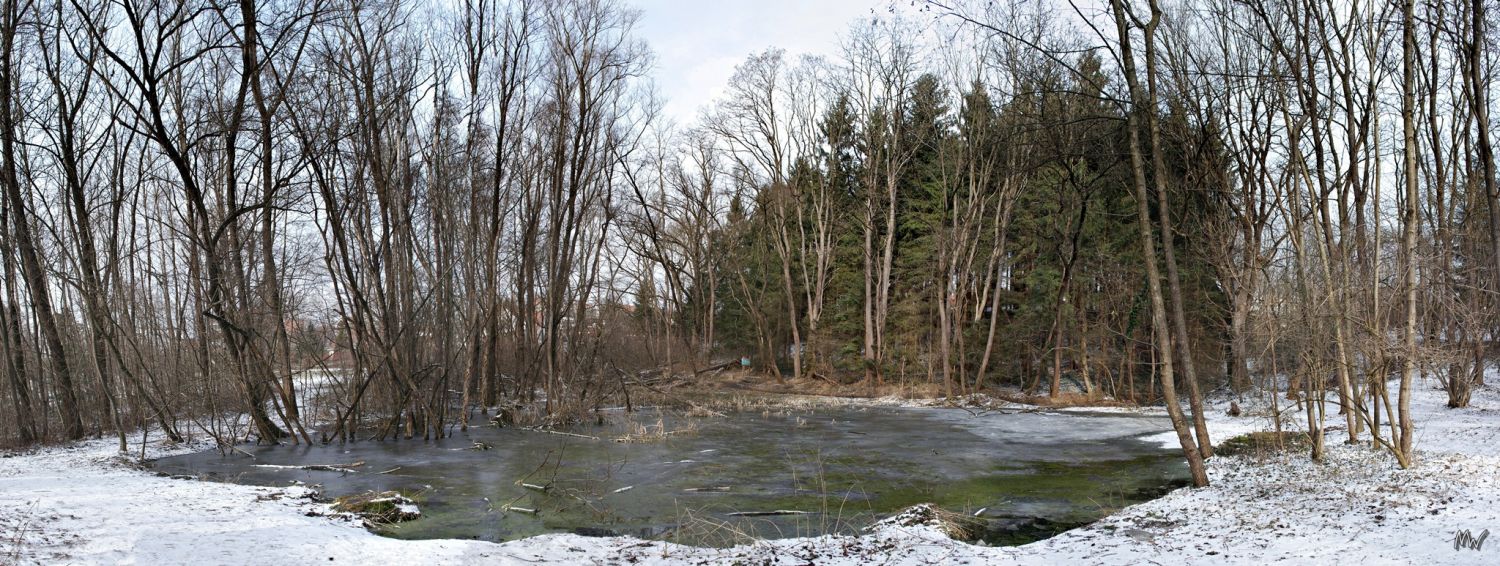 Teich - Pano